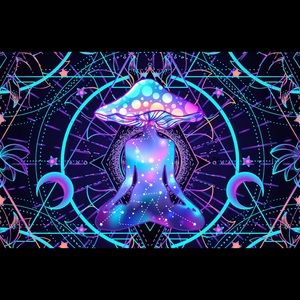 Meet your Posher, Georgia